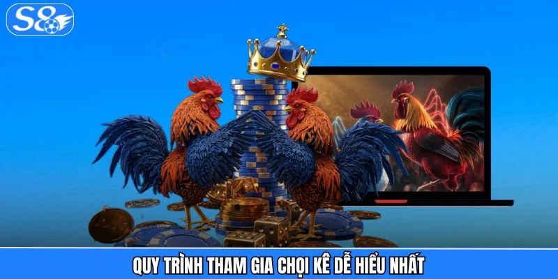 Đá gà S8 Quy trình tham gia chọi kê dễ hiểu nhất