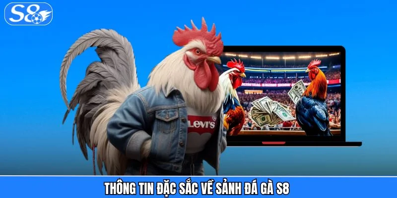 Đá gà S8 Thông tin đặc sắc về sảnh đá gà S8